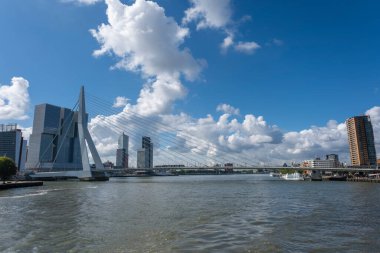 Rotterdam 'daki Erasmus Köprüsü Nieuve-Maas Nehri, Rotterdam, Hollanda.
