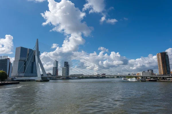 Erasmusbron Rotterdam Vid Floden Nieuve Maas Rotterdam Nederländerna — Stockfoto