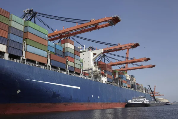 Grues Portuaires Grandes Chargeant Des Porte Conteneurs Dans Port Rotterdam — Photo