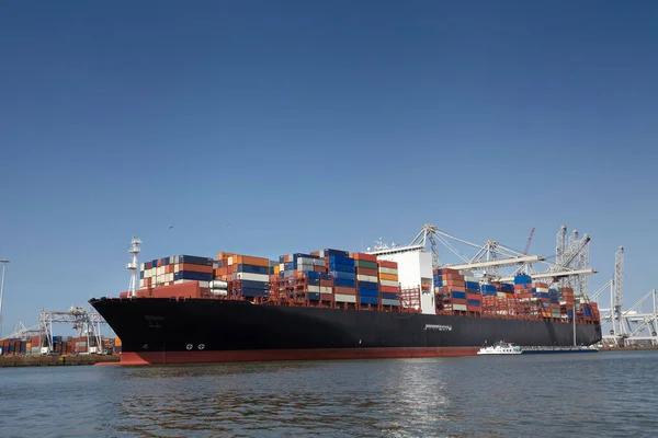 Rotterdam limanında büyük liman vinçleri konteyner gemileri yüklüyor..