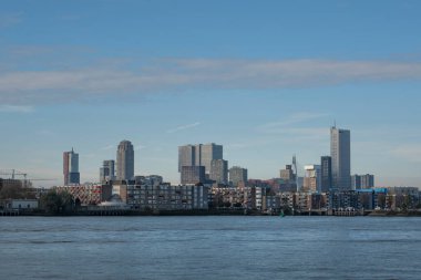 Rotterdam, Hollanda. Rotterdam 'ın silueti Erasmus Köprüsü ve Kop van Zuid ile