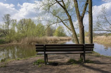 Doğadaki ahşap park tezgahı. Rotterdam, Hollanda 'da oturmak için güzel bir yer.