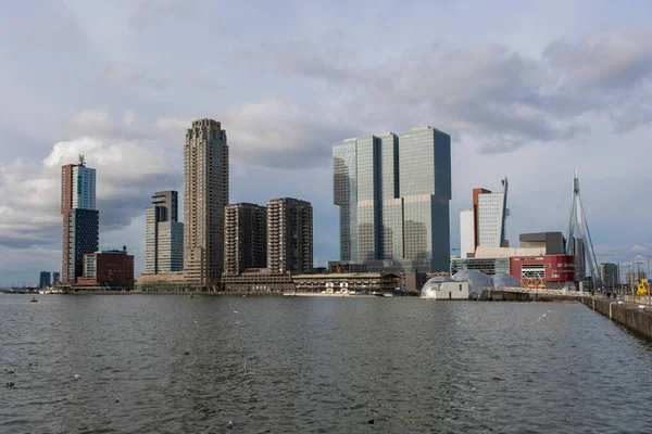 Rotterdam Países Bajos Skyline Rotterdam Con Puente Erasmus Kop Van —  Fotos de Stock