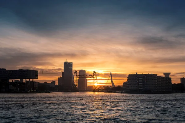 Rotterdam Coucher Soleil Avec Pont Erasmus Pont Hef Aux Pays — Photo