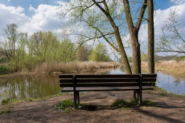 Houten Parkbank Natuur Een Goede Plek Zitten Rotterdam — Stockfoto