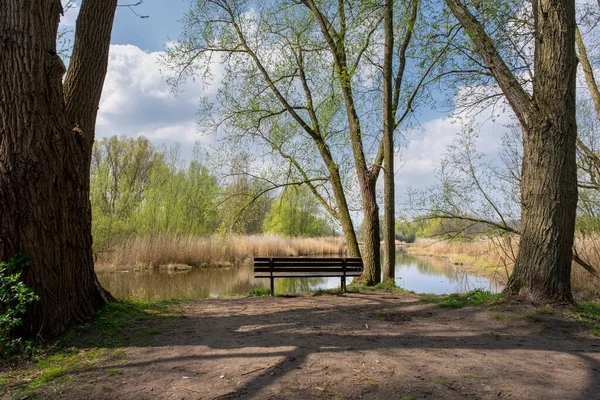 Houten Parkbank Natuur Een Goede Plek Zitten Rotterdam — Stockfoto