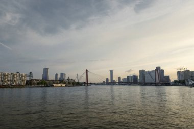 Rotterdam şehri, Hollanda 'nın güneyinde, Rotterdam Köprüsü' nde alacakaranlıkta ufuk çizgisi oluşturdu.