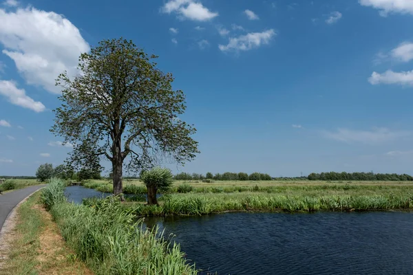 Omheining Weilanden Noord Holland Het Platteland Ten Noorden Van Amsterdam — Stockfoto