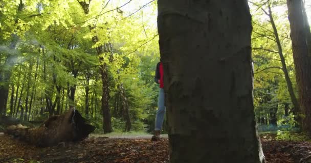 Plano medio de la hermosa pareja de mujeres jóvenes y hombres viajeros tratando de captar la señal celular en el teléfono en el bosque, sin señal en el teléfono. Turistas en el paisaje de bosques. Concepto de personas que viajan en la naturaleza. — Vídeo de stock