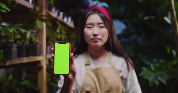 Close up de encantadora mulher asiática em avental em pé em estufa, sorrindo e segurando smartphone com greenscreen, olhando para a câmera. Bióloga posando na estufa. Conceito de gadgets modernos — Vídeo de Stock