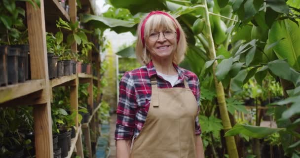 Meio tiro de mulher madura encantadora em óculos de pé em estufa, sorrindo e olhando para a câmera. Retrato de bela bióloga feminina positiva posando em hothouse. Conceito de agricultura Hobby. — Vídeo de Stock