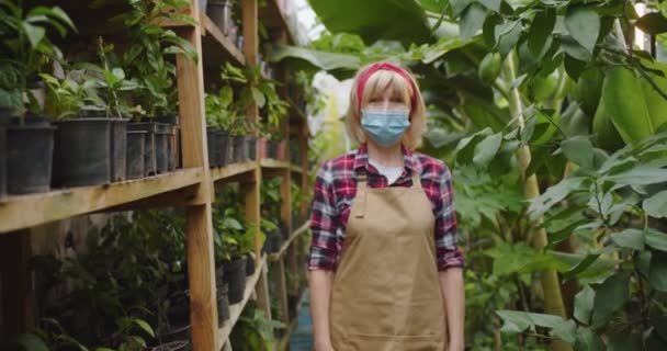Middle shot of charming mature woman in medical mask standing in greenhouse and looking at camera. Portrait of beautiful positive female biologist posing in hothouse. Hobby farming concept. — Stock Video