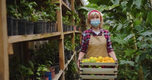 Meio tiro de mulher madura encantadora em máscara médica em pé em estufa, segurando caixa de madeira cheia de citrinos e olhando para a câmera. Retrato de biólogo feminino positivo posando em hothouse. — Vídeo de Stock