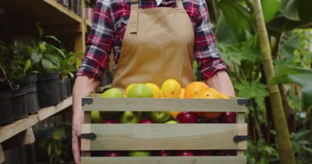 Primer plano de la feliz mujer jardinero en máscara médica de pie en el invernadero, la celebración de caja de madera llena de cítricos y mirando a la cámara. Retrato de bióloga positiva posando en invernadero. — Vídeo de stock