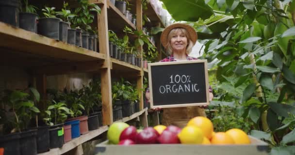 Plan du milieu de charmante femme mature dans un chapeau debout dans une serre derrière une boîte avec des fruits, tenant un panneau en bois 100 % biologique à bord, montrant à la caméra et souriant. Hobby concept d'agriculture. — Video