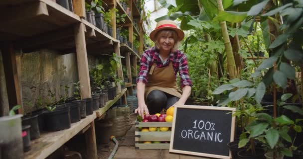 Plan du milieu de charmante femme mûre en chapeau assis près du panier de fruits à côté de signe en bois 100 pour cent biologique à bord, prenant des fruits dans les mains et les regardant en souriant. Hobby concept d'agriculture. — Video