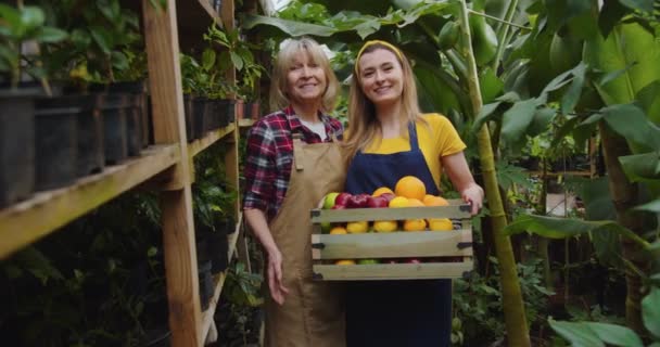 Plan médian de charmante femme mûre et jeune femme debout dans une serre tenant une boîte en bois pleine de fruits, souriant et regardant la caméra. Vieille femme enseignant le jardinage jeunes femmes dans le jardin. — Video