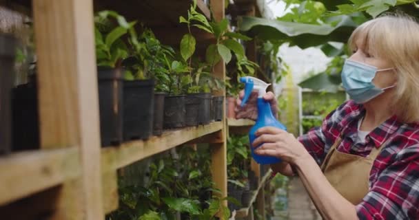 Close up portrait of mature woman in medical mask in greenhouse spraying flowers using blue sprayer with water. Portrait of beautiful positive female biologist in hothouse. Hobby and farming concept. — Stock Video