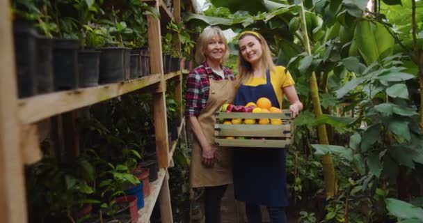 Middle shot of charming mature woman and young female standing in greenhouse holding wooden box full of fruits, smiling and looking at camera. Old woman teaching gardening young women in garden. — Stock Video