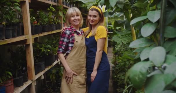 Middle shot of charming mature woman and young female standing in greenhouse hugging, smiling and looking at camera. Old woman teaching gardening young women in garden. Hobby and farming concept. — Stock Video