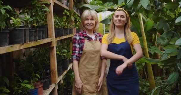 Middle shot of charming mature woman and young female standing in greenhouse crossing arms, smiling and looking at camera. Old woman teaching gardening young women. Hobby and farming concept. — Stock Video