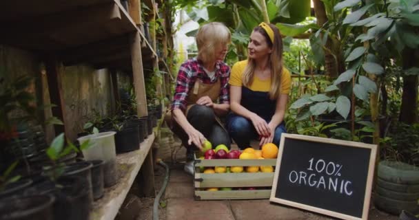 Bliski strzał dojrzałej kobiety i młodej kobiety siedzącej obok kosza owoców obok drewnianego znaku 100 procent organiczne, biorąc owoce w ręce i patrząc na nich uśmiech, mówienie. Koncepcja uprawy hobbystycznej. — Wideo stockowe