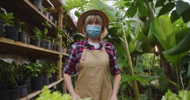 Middle shot of charming mature woman in hat and medical mask standing in greenhouse behind box with vegetables, holding wooden sign open on board, showing to camera and smiling. Hobby farming concept. — Stock Video
