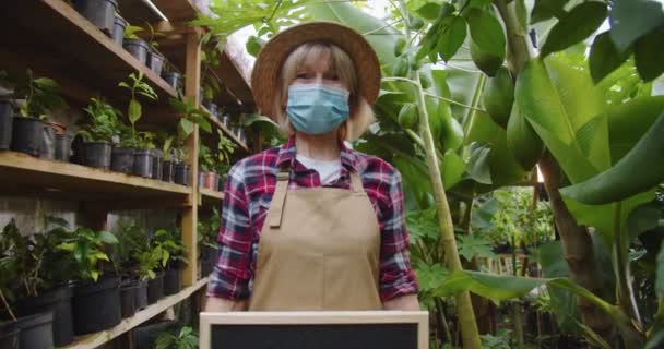 Middle shot of charming mature woman in hat and medical mask standing in greenhouse behind box with vegetables, holding wooden sign go vegan on board. Hobby farming concept. — Stock Video
