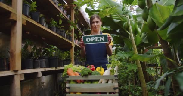 Foto media de una joven con delantal de pie en el invernadero detrás de la caja con verduras, sosteniendo letrero de madera abierto a bordo, mostrando a la cámara. Concepto de agricultura Hobby. — Vídeos de Stock