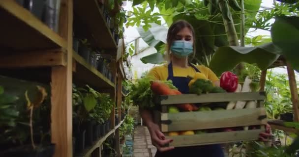 Close-up van jonge mooie vrouw in jeans schort en medisch masker lopen in de kas met doos met groenten, op zoek naar camera. Werken tijdens een pandemie. Hobby landbouwconcept. — Stockvideo