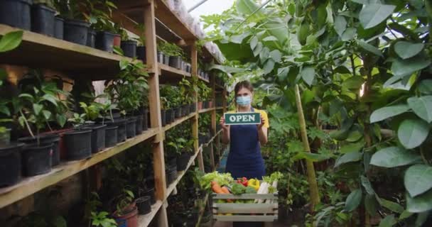 Mellanslag av ung kvinna bär förkläde och medicinsk mask står i växthus bakom låda med grönsaker, hålla träskylt öppen ombord, visar för kameran. Hobby jordbrukskoncept. Kameran rör sig — Stockvideo