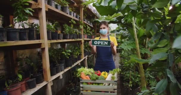 Mellanslag av ung kvinna bär förkläde och medicinsk mask står i växthus bakom låda med grönsaker, hålla träskylt öppen ombord, visar för kameran. Begreppet hobbyodling. — Stockvideo