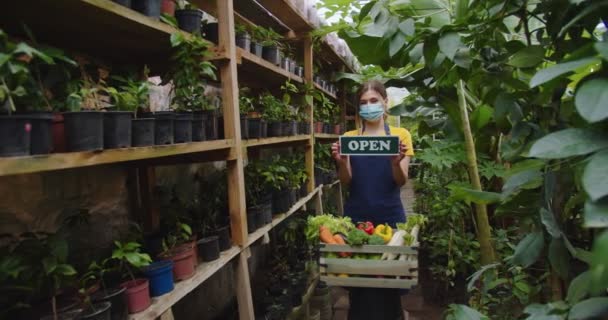 Midden schot van jonge vrouw met schort en medisch masker in de kas achter de doos met groenten, met houten bord open aan boord, te laten zien aan de camera. Hobby landbouwconcept. Camera beweegt — Stockvideo