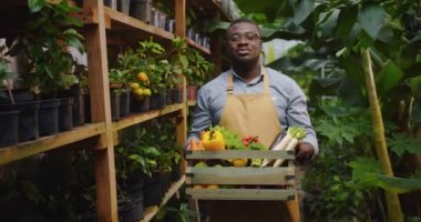 Serada duran gözlüklü, ciddi Afrika kökenli Amerikalı biyologlara yaklaş. Sebzeli kutu tutan ve kameraya bakan bir adam. Çiçekçilik, işgal ve iş konsepti.