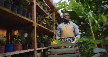 Yakışıklı bahçıvan, gözlüklü Afro-Amerikan bir adam. Sebzelerle seranın arkasında duruyor. Elinde tahta tabela var, kameraya gösteriyor ve gülümsüyor. Çiftçilik kavramı.