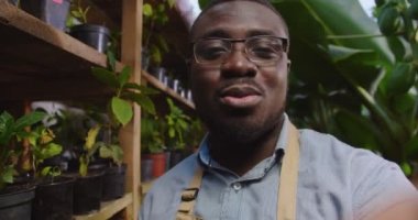 Gözlüklü Afrikalı Amerikalı adamın serada video bloğu kaydettiğini, video görüşmeleri yaptığını, akıllı telefon kullandığını. Erkek biyolog, serada çalışıyor. Hobi tarım konsepti. Web kamerası görünümü