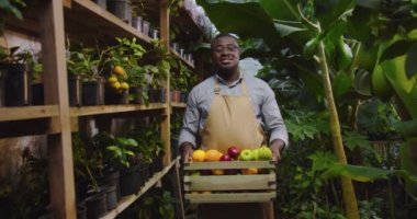 Gözlüklü gülümseyen Afrikalı Amerikalı biyologların serada durduğu bir fotoğraf. Meyveli kutuyu tutan ve serada kameraya bakan bir adam. Çiçekçilik, işgal ve iş konsepti.