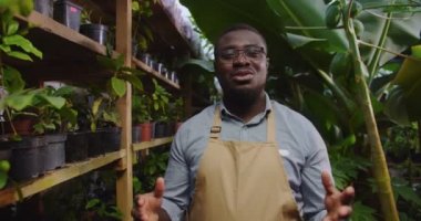 Yakışıklı bahçıvan, gözlüklü Afro-Amerikalı, serada video kaydediyor, kamera önünde konuşuyor. Erkek biyolog, serada çalışıyor. Hobi tarım kavramı.