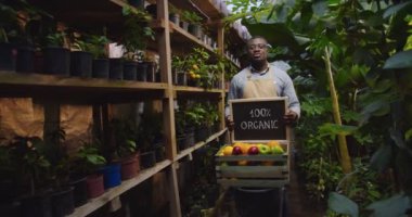 Gözlüklü Afro-Amerikan bir adamın kutunun arkasında elinde meyvelerle dikilip, elinde organik tahta tabela tutarak kameraya gösterdiği bir fotoğraf. Çiçekçilik, işgal ve iş konsepti. Kamera hareket ediyor