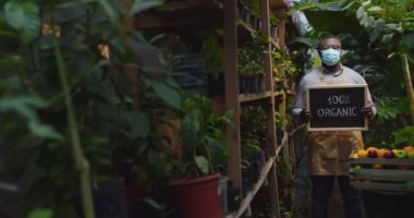 Gözlüklü ve tıbbi maskeli Afro-Amerikan bir adamın meyve kutusuyla seranın arkasında dikilip elinde organik bir tabela tutarak kameraya bakarken orta pozu. Çiçekçilik, işgal ve iş konsepti.