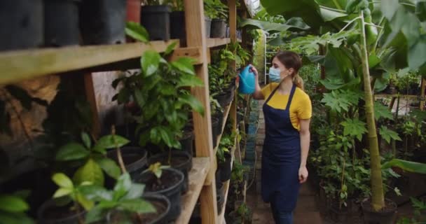 Midden schot van jonge vrouw in medisch masker lopen in kas water geven bloemen uit blauwe gieter. Vrouwelijke blonde bioloog werkt in Hothouse tijdens pandemy. Hobby en landbouwconcept. — Stockvideo