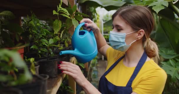 Close up of young woman in medical mask walking in greenhouse watering flowers from blue watering can. Female blonde biologist working in hothouse during pandemy. Hobby and farming concept. — Stock Video