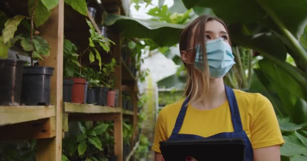 Close-up van charmante jonge vrouw in medisch masker lopen in de kas, het maken van controle van planten met tablet in handen. Vrouwelijke bioloog werkzaam in Hothouse tijdens COVID. Hobby landbouwconcept. — Stockvideo