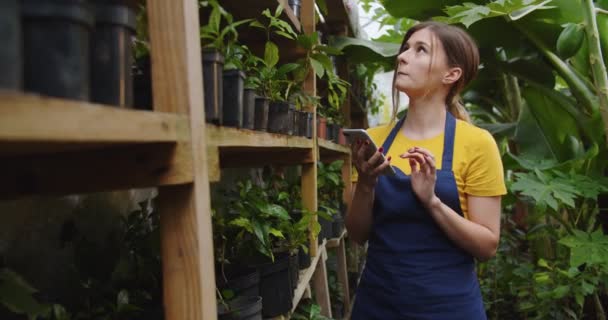 Close-up van charmante jonge vrouw wandelen in de kas, het maken van controle van planten, met behulp van smartphone. Vrouwelijke blonde bioloog werkt in Hothouse. Hobby landbouwconcept. Moderne gadgets — Stockvideo