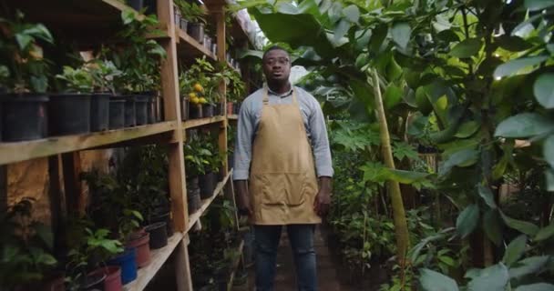ハンサムな庭師の真ん中のショットアフリカ系アメリカ人の男性が家の中で腕を横断し、カメラを見て立っている。フロリストリー、職業、ビジネスコンセプト。趣味農業の概念. — ストック動画