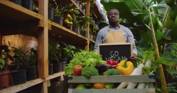 Plan du milieu du beau jardinier afro-américain dans des verres debout dans la serre derrière la boîte avec des légumes, tenant signe en bois aller végétalien à bord, montrant à la caméra. Hobby concept d'agriculture. — Video