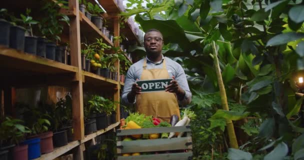 Tiro médio de jardineiro bonito homem afro-americano em óculos de pé em estufa atrás da caixa com legumes, segurando o sinal de madeira aberto a bordo, mostrando à câmera. Conceito de agricultura Hobby. — Vídeo de Stock