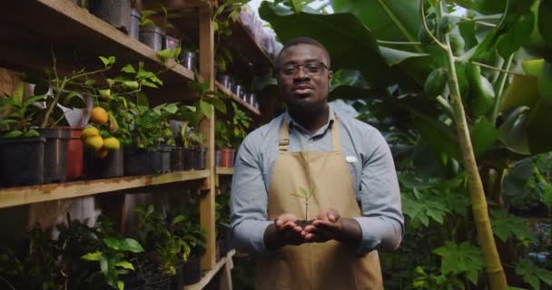 Close-up van tuinman Afro-Amerikaanse man in handen houden en uitrekken tot camera plant in de bodem. Man staat met boom in kas en kijkt naar plant en dan naar de camera. — Stockvideo
