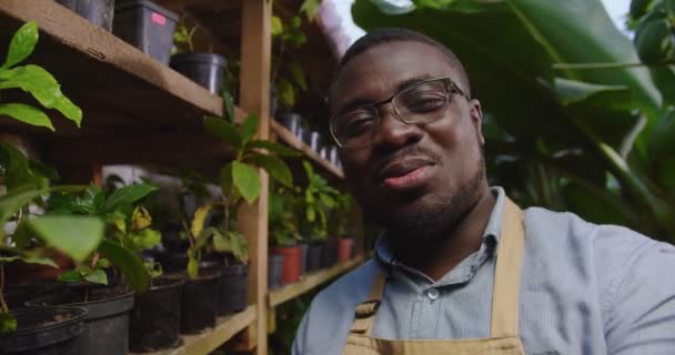 Närbild av afroamerikanska mannen i glasögon inspelning vlog i växthus, ringa videosamtal, viftande händer, med hjälp av smartphone. Manlig biolog influencer arbetar i hothouse. Webbkameravy — Stockvideo