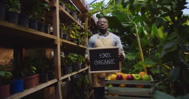 Middle shot of African American man in glasses standing in greenhouse behind box with fruits, holding wooden sign organic, looking to camera and smiling. Floristry, occupation and business concept. — Stock Video